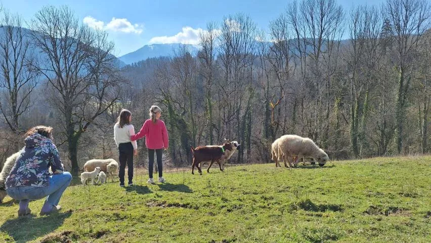 An immersive experience at the heart of the flock in Mieussy 