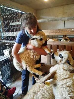 Up close with animals and their care