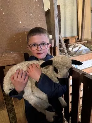 Young boy in the sheepfold