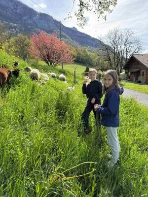 Young girls with lambs