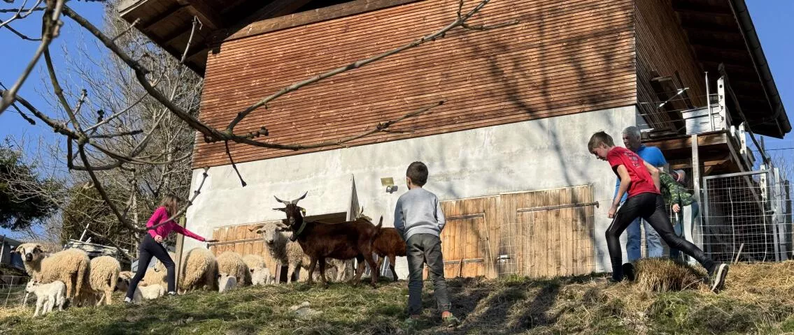 Farm visit in Mieussy