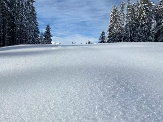 Neige à Sommand grandes étendues Poudre d'Escampette