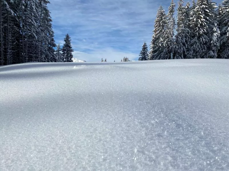 L'Escapade Givrée de Sommand
