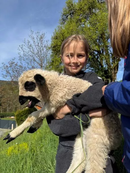 Immerse yourself in the heart of our flock of sheep and enjoy a snack