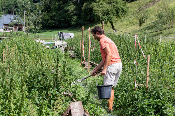 Découvrir les petits producteurs locaux