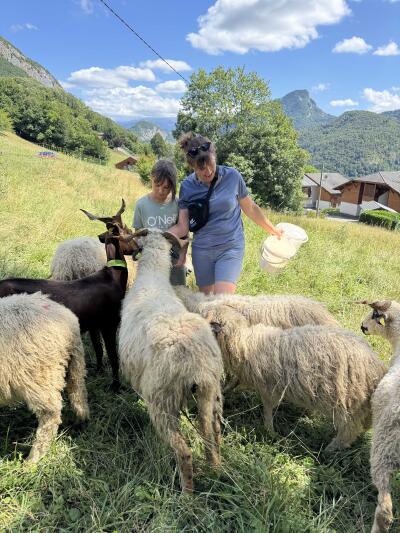 Immersion au cœur de notre troupeau de moutons et goûter