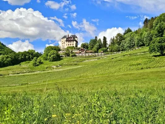 Château de Menthon-Saint-Bernard and vineyards