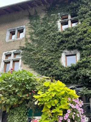 Historic homes in the village of Taninges