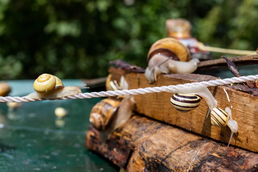 Immersive experience with small local producers