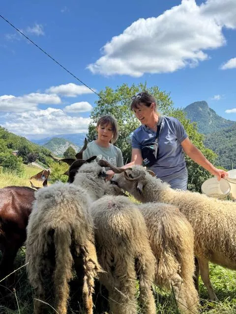 Caring for animals – Sheep flock