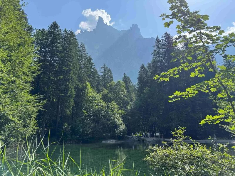 Family Nature Ride: explore the Giffre Valley