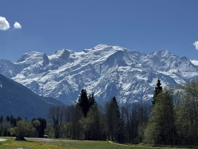 The Mont Blanc Range from Plaine Joux, Passy