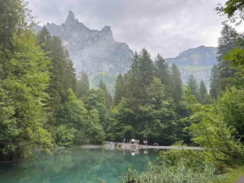 Half-Day Nature Ride in the Giffre Valley
