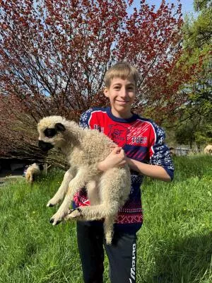 Young boy with lamb Thônes et Marthod