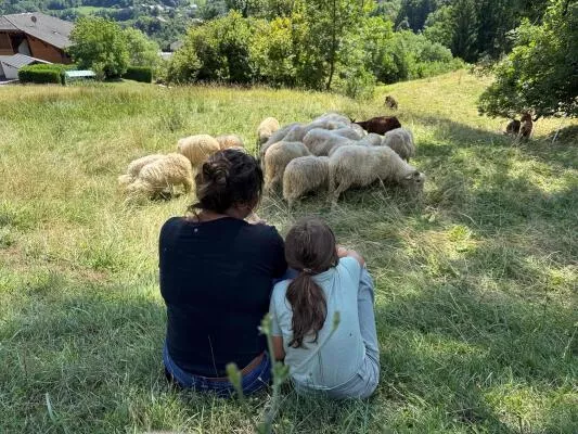 Watching a flock of sheep in Mieussy 