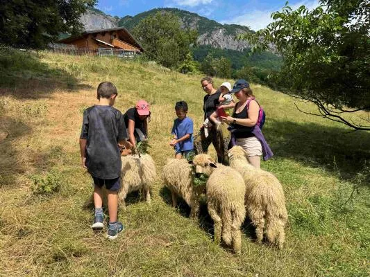 Families at the heart of the flock