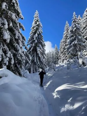Raquette Agence Poudre d'Escampette