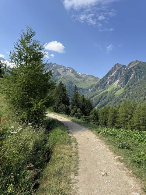 Alpine Walks & Hidden Trails