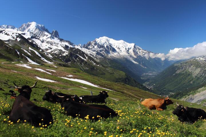 Panoramic views in the Pays du Mont-Blanc