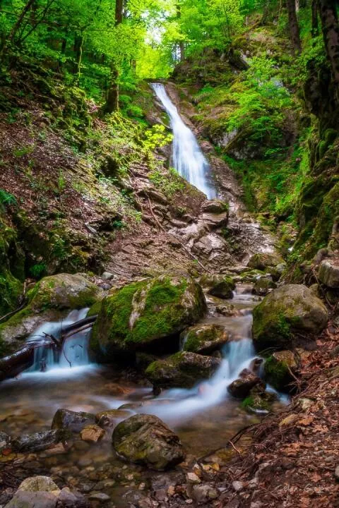 La nature à l'état pur