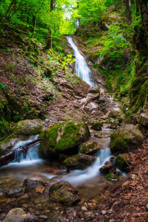Nature in its purest form