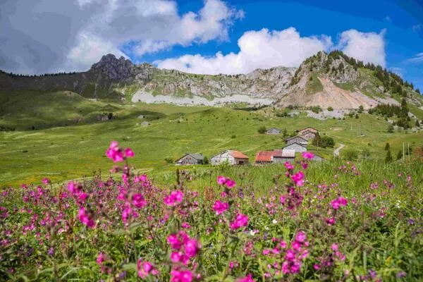 MTB & Gravel Activities